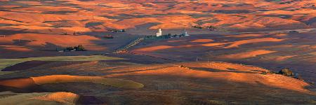 Golden Palouse