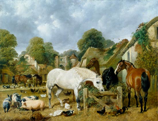 Horses in a Paddock od John Frederick Herring d.Ä.