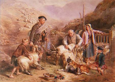 Sheep Shearing od John Frederick Tayler