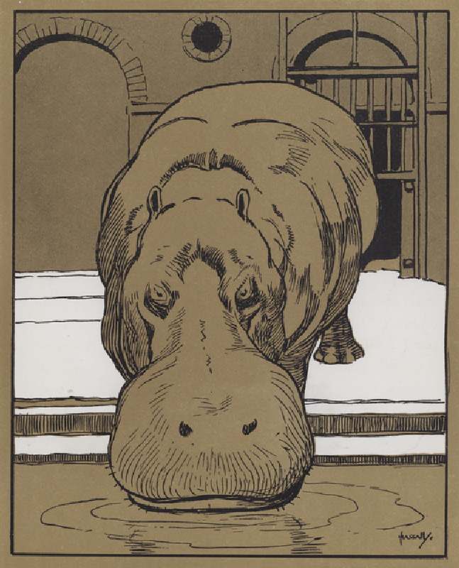 "I cannot bring myself to believe that this is a very witty animal" (colour litho) od John Hassall
