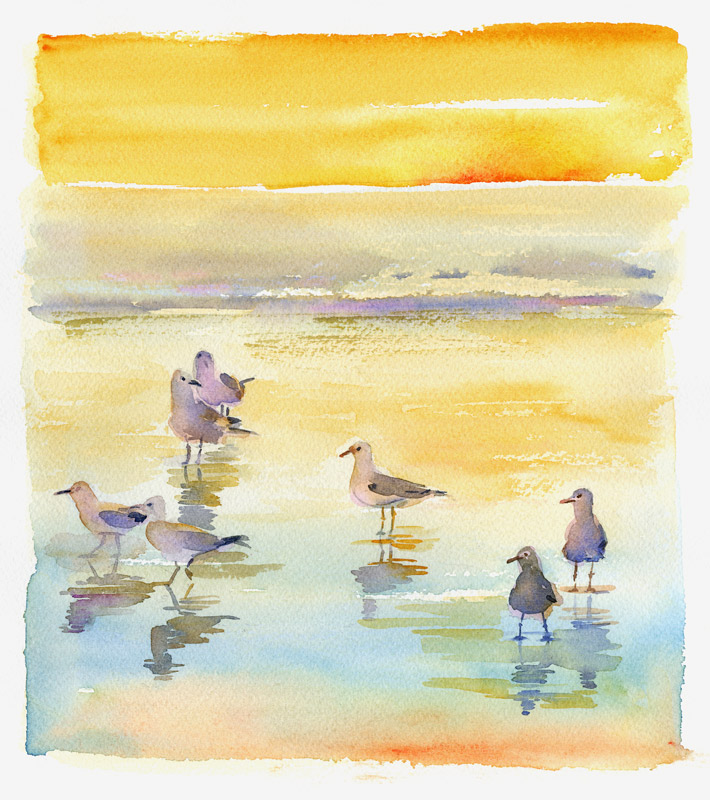 Seagulls on beach od John Keeling