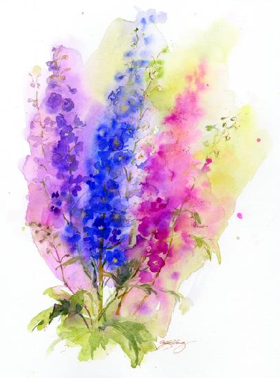 Delphinium