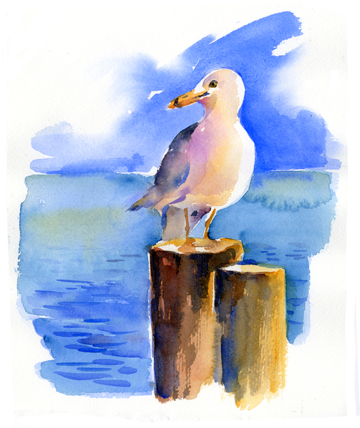 Seagull on dock od John Keeling