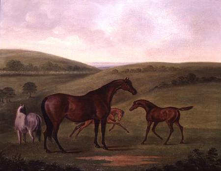 Mare with Foals in a Landscape od John Nost Sartorius