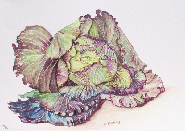 Cabbage od Margo Starkey