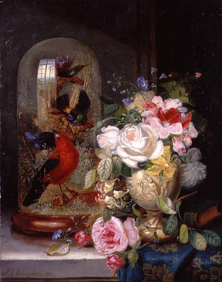 A Still Life with Roses in a Vase beside Exotic Birds in a Glass Case od John Wainwright