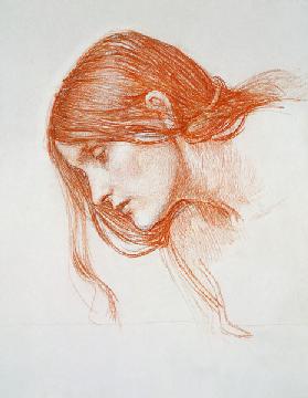 Study of a Girl's Head