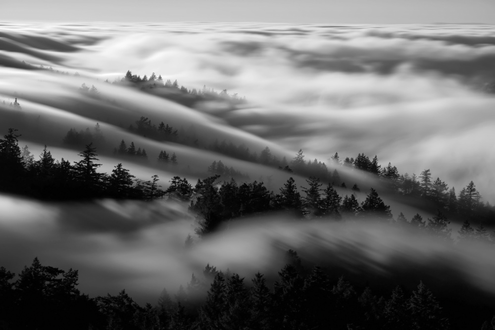 Bathing in the fog od Johnny Zhang