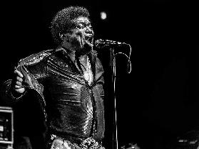 Charles  Bradley  in memory