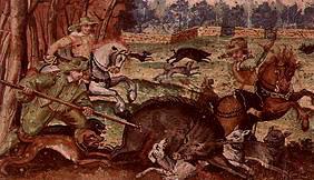 Wild boar hunt.