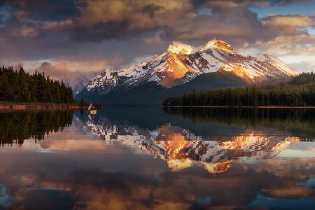 Maligne