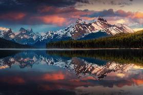 Maligne Color.