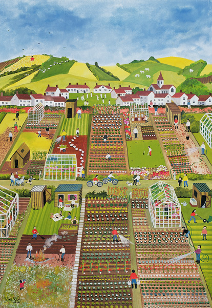 Allotments od Judy  Joel