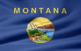 Montana Flagge