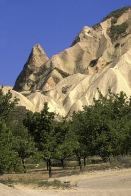 Felsen