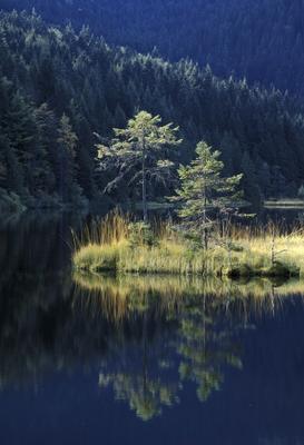 SCHWIMMENDE INSEL