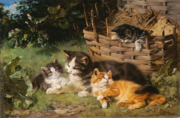 Cat mother with three boys