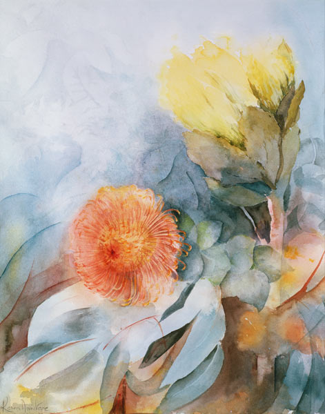 South Africa Protea  od Karen  Armitage