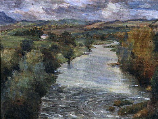 The River Tweed, Roxburghshire, 1995  od Karen  Armitage