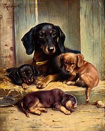 A dachshund family od Karl Reichert