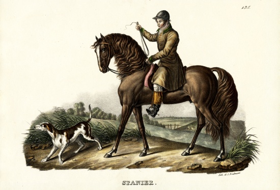 Spanish Hunter Horse od Karl Joseph Brodtmann