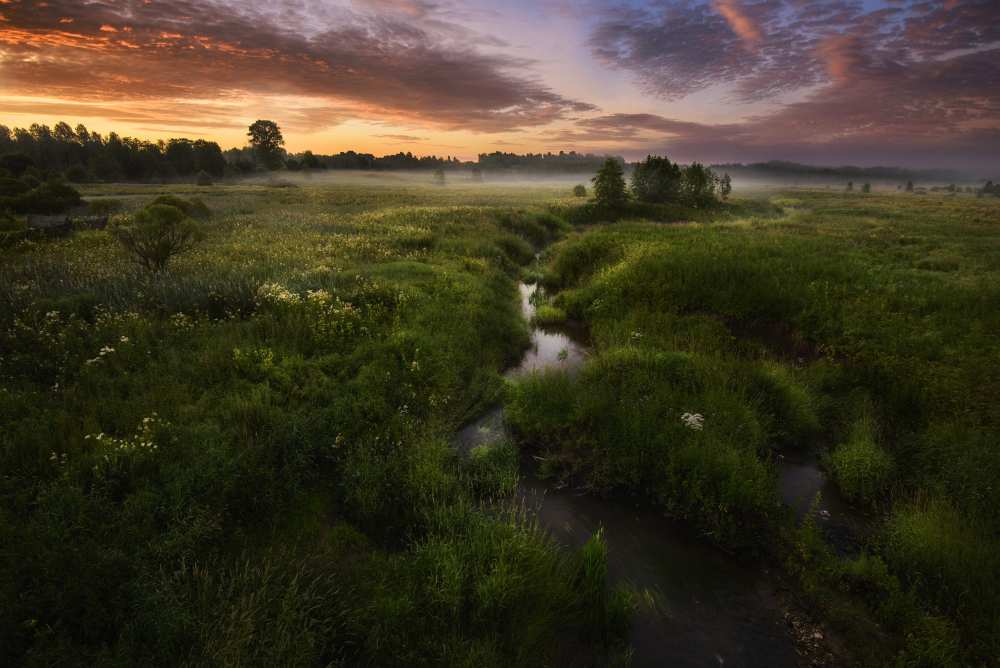 Morning on Kes'ma River od Kirill Volkov