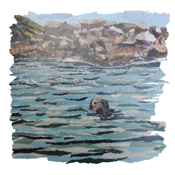 Seal Island od Kirstie Adamson