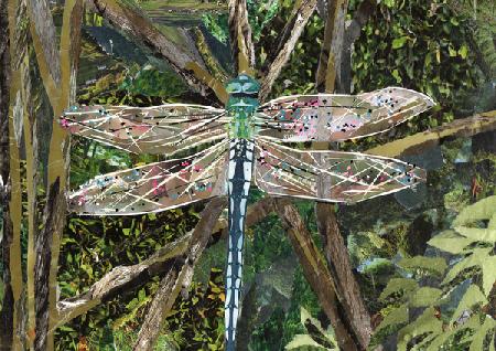 Turquoise Dragonfly