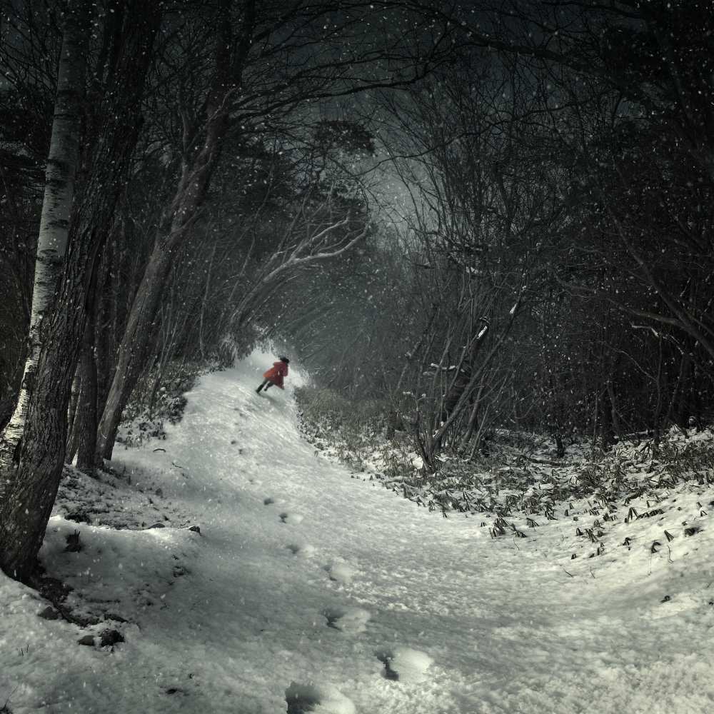 Into the winter forest od Kiyo Murakami