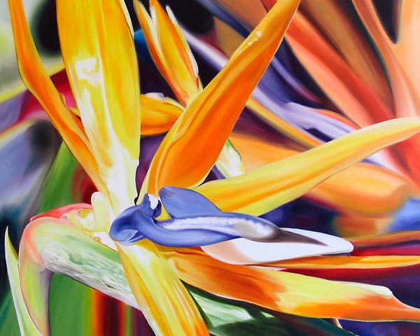 Birds of Paradise od James Knowles