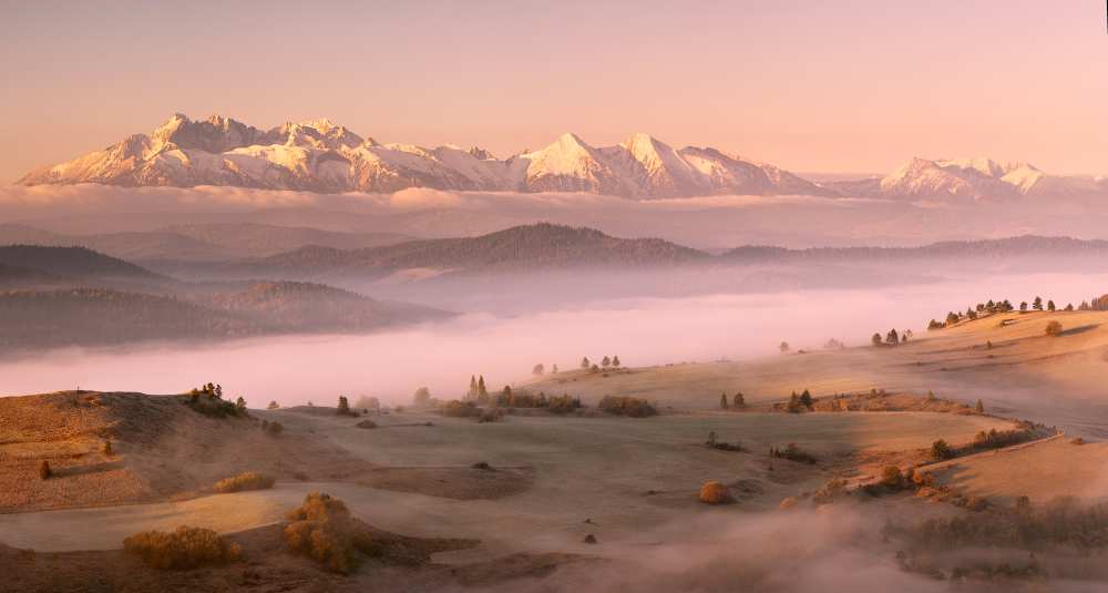 Fog Tatra od Krzysztof Mierzejewski