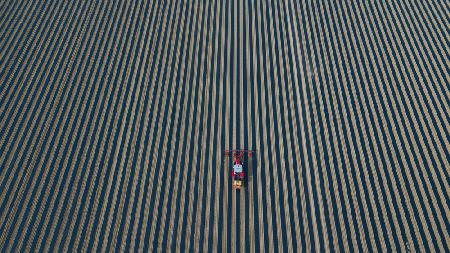 Farmer working