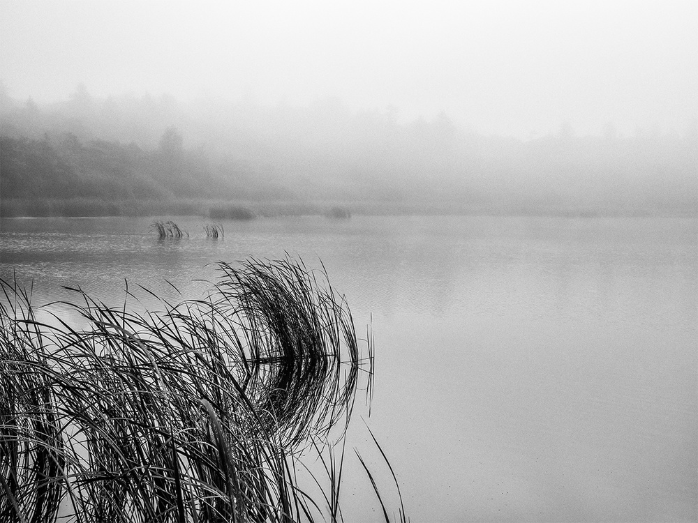 Lake mood on a foggy day od Leif Løndal