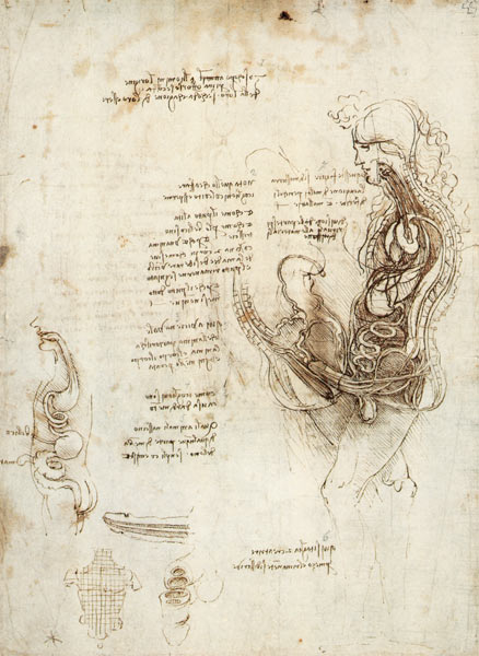 Coition of Hemisected Man and Woman, facsimile copy  & od Leonardo da Vinci