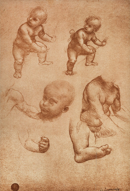Study for a Portrait of a Child od Leonardo da Vinci