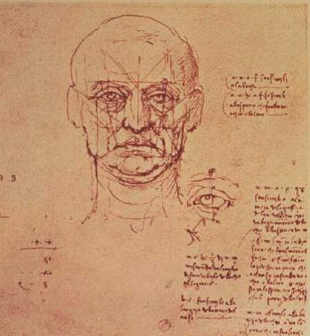 Drawing of the proportions of the head and eye od Leonardo da Vinci