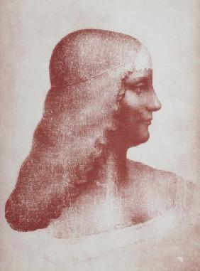 Head of a Woman in Profile