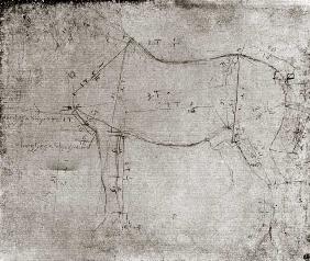 Study of a Horse