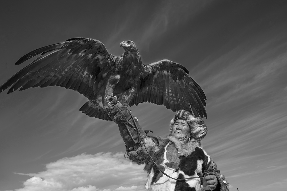 Eagle Hunter od Libby Zhang