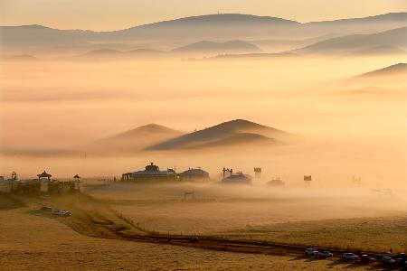 Grassland Fog