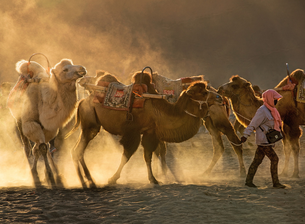 Camel station od Libby Zhang