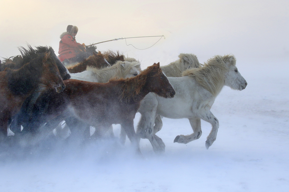 Mongolia winter od Libby Zhang
