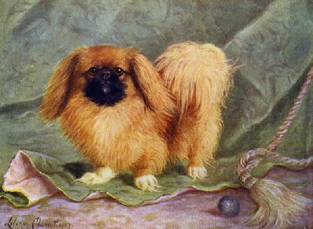 The Pekinese, Champion Chu-erh of Alderbourne