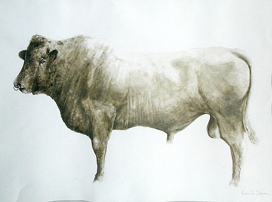 Islay Bull, 2004 (acrylic on canvas)  od Lincoln  Seligman