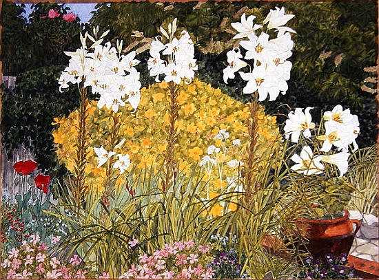 White lillies od Linda  Benton