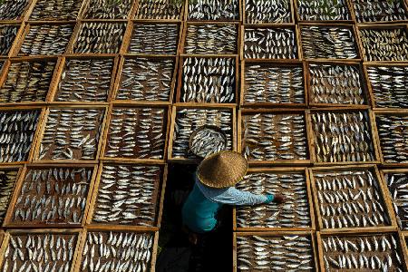 Salted Dried Fish