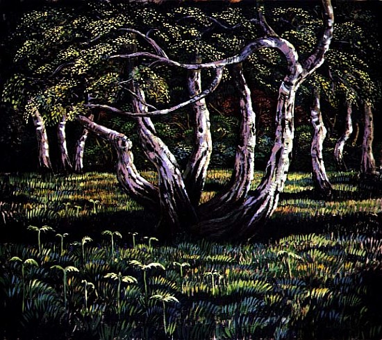 Silver Birch Trees, 1988  od Liz  Wright