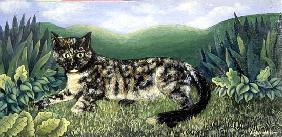 Norton the Cat, 1973 (panel) 