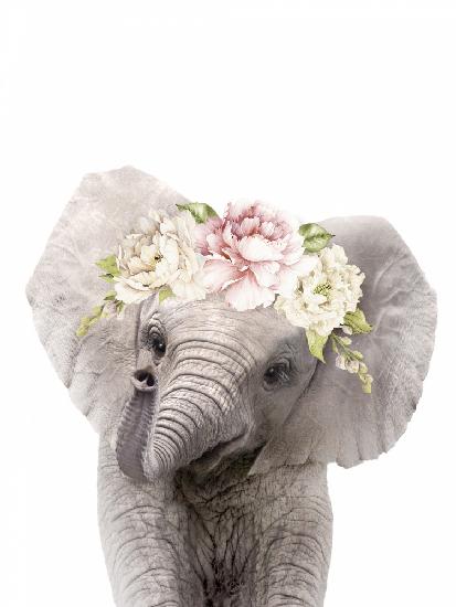 Floral Baby Elephant