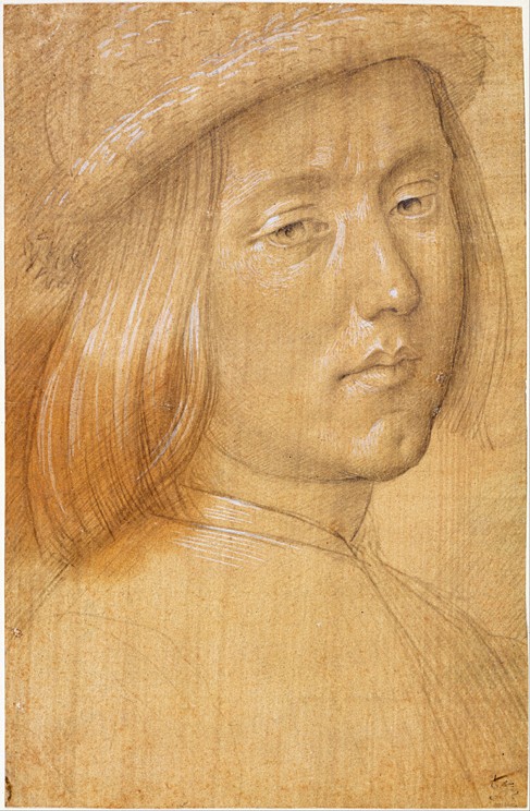 Head of a Youth od Lorenzo di Credi